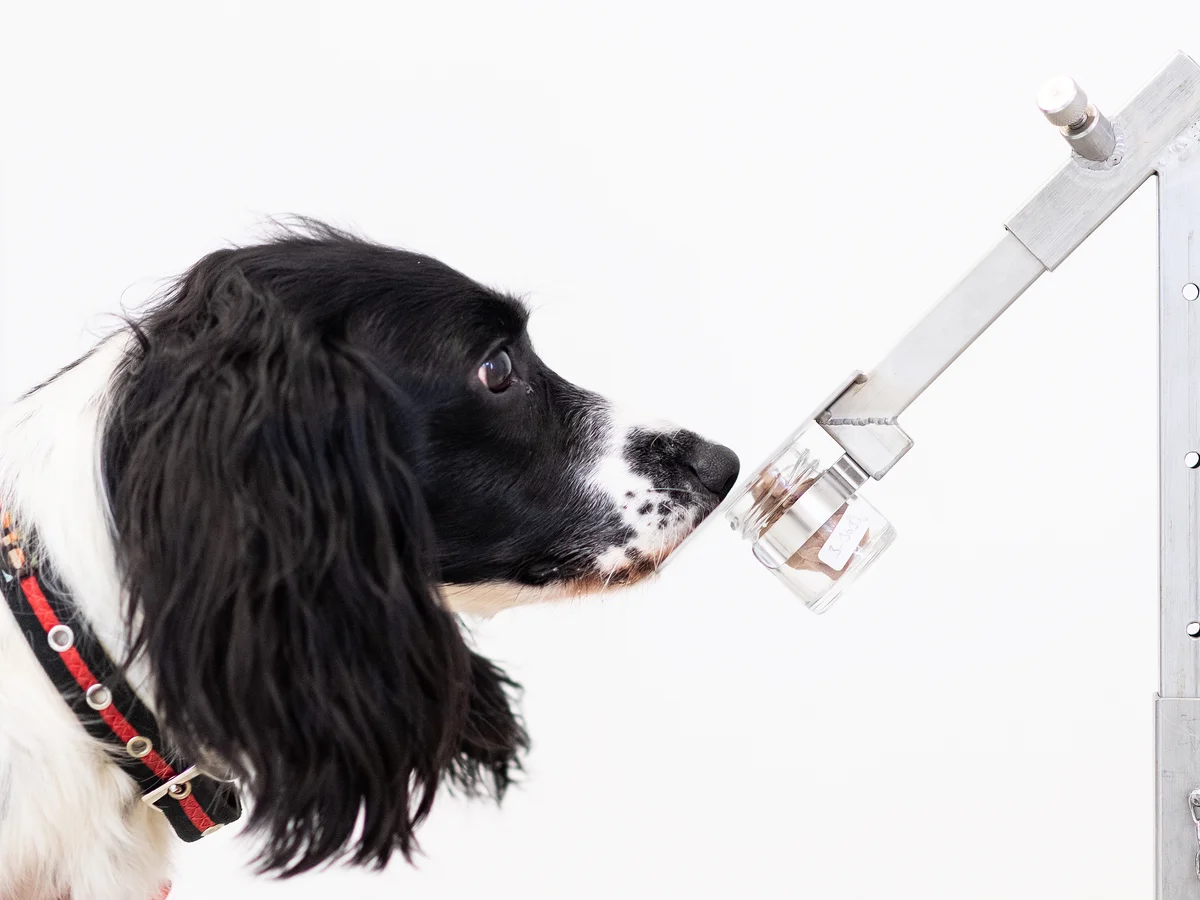 AC9B3CF7 B897 40F1 B212E922D73A556E source