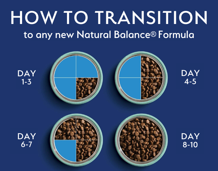 NB Transition to New Formula Infographic e1738741369993
