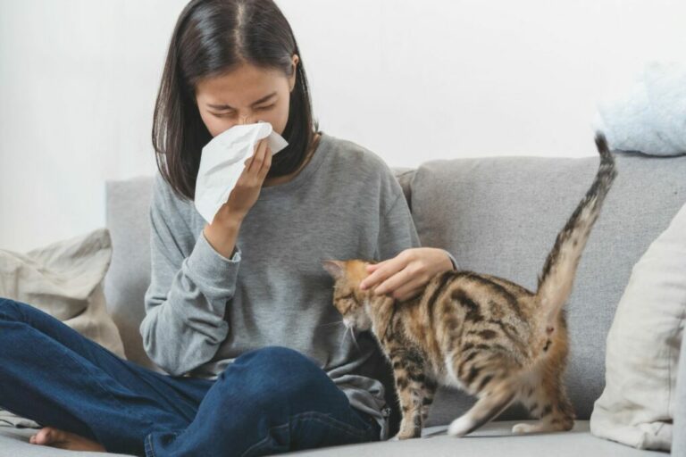 Cat allergy in humans 768x512 1